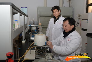 长城网 邢台糠醛工程技术研究中心促多家糠醛生产企业发展
